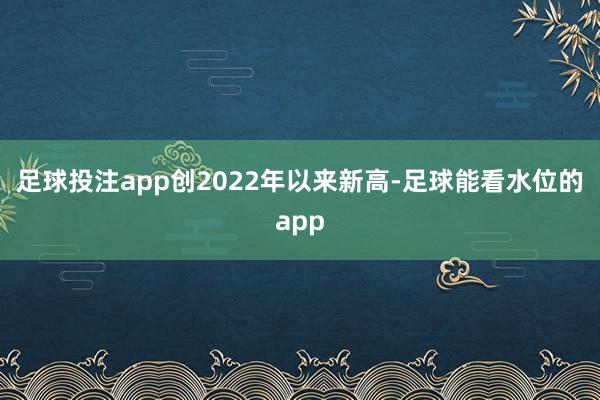 足球投注app创2022年以来新高-足球能看水位的app