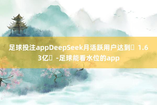 足球投注appDeepSeek月活跃用户达到‌1.63亿‌-足球能看水位的app