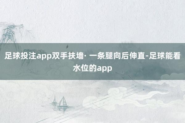 足球投注app双手扶墙· 一条腿向后伸直-足球能看水位的app