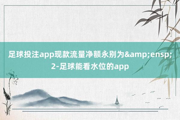 足球投注app现款流量净额永别为&ensp;2-足球能看水位的app