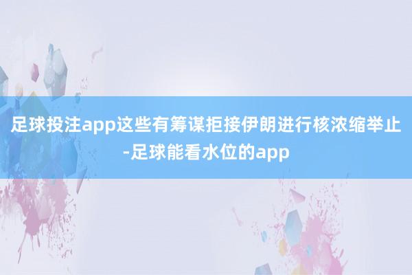 足球投注app这些有筹谋拒接伊朗进行核浓缩举止-足球能看水位的app